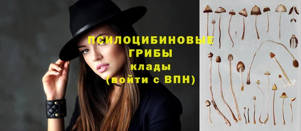 гидра Бугульма