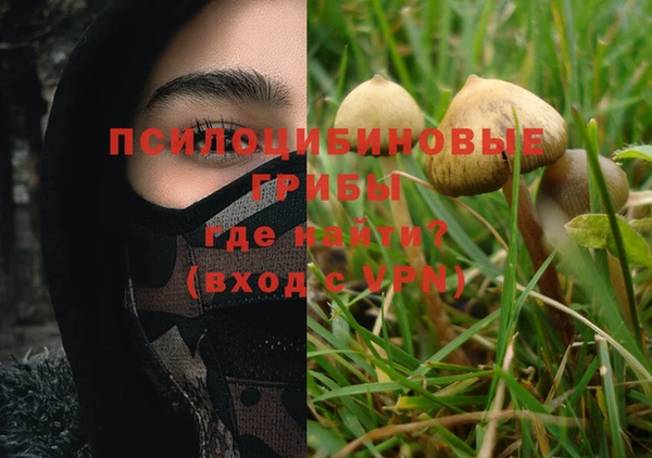 прущие крисы Бронницы