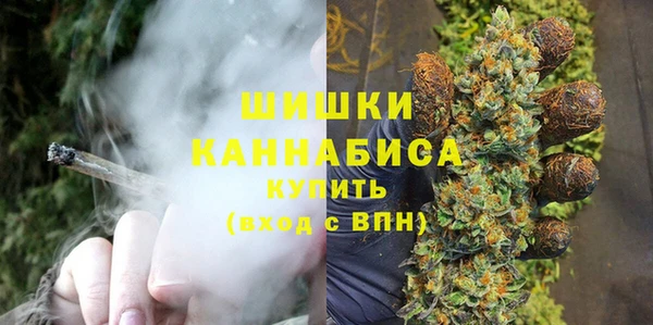 СК Бородино