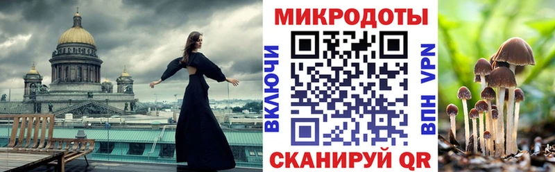 Псилоцибиновые грибы мицелий Горно-Алтайск